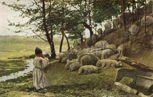 Schafhirte / Balkan folklore, shepherd with sheep