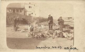 Szendrő, Semendria; courtyard, donkey, chickens, D.R.P. Nr. 176 323. photo (EK)