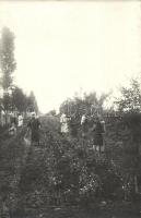 1923 Törökbecse, permetezők / sprayers, photo