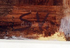 Somlai Vilma (1938-2007): Ház fákkal. Olaj, karton, jelzett, üvegezett keretben, 42×59 cm