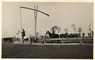 Hortobágy, Gémes kút, photo