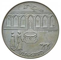 Ligeti Erika (1934-) / ÁPV 1973. "MÉE IV. Vándorgyűlése Esztergom - Visegrád" Ag emlékérem...