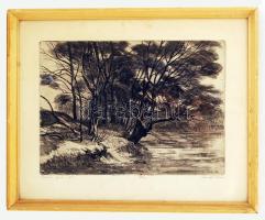 Csurgói Máté Lajos (1931-2001): Ártéri fák. Rézkarc, papír, jelzett, üvegezett keretben, 27×38 cm