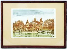 Gaál Domokos (1940-2009): Vajdahunyad vára, színezett rézkarc, papír, számozott (28/55), paszpartuban, üvegezett fa keretben, 39,5×26 cm