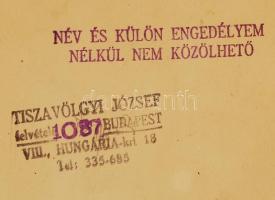 Tiszavölgyi József: Fésülködő akt, pecséttel jelzett fotó, felületén foltok, törésnyomok, 13x14 cm /...