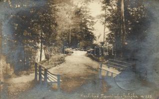 Karlovy Vary, Karlsbad - 28 old postcards