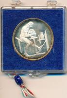 DN "Hollóháza" Ag emlékérem eredeti plombált ÁPV plasztiktokban (16.2g/0.925/32mm) T:PP