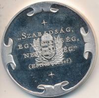 Bozó Gyula (1913-2004) DN "Eötvös József - A Magyar Népoktatás Megteremtője" Ag emlékérem ...