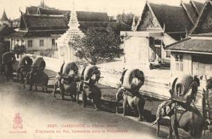 Phnom Penh, elephants of the king, promenade
