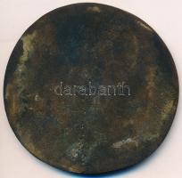 DN "Petőfi Sándor" Br plakett tokban (82mm) T:2