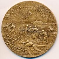 Lengyelország 1988. "45 éves a Lengyel Néphadsereg" Br emlékérem tokban. Szign.: AN (Andrz...