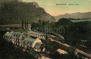 Rajecfürdő, Agrarius udvar, gőzmozdony / court yard, locomotive (fa)