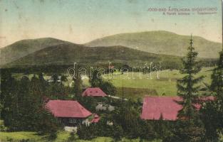 Polhora, gyógyfürdő / spa (fa)