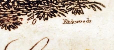 Khikwoeds jelzéssel: Colonel Geo. Callander of Craigforth, rézmetszet, papír, 9×6,5 cm