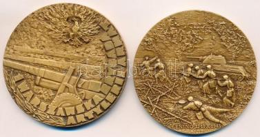 Lengyelország ~1970. "Bem József / 1. Varsói Tüzérdandár" Br emlékérem. Szign.: Jósef Misz...