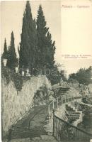 Abbazia, cypresses