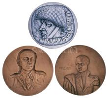 Lengyelország ~1970. "Bem József / 1. Varsói Tüzérdandár" Br emlékérem. Szign.: Jósef Misztela (69mm) + DN "Józef Paczkowsky" Br emlékérem. Szign.: W. Jakubowski (69mm) + DN "Varsói Katonai Körzet" fém emlékérem tokban. Szign.: W. Jakubowski (69mm) T:1-,2 Poland ~1970. "Jozef Bem" Br commemorative medallion. Sign.: Jósef Misztela (69mm)  + DN " "Józef Paczkowsky" Br commemorative medallion. Sign.: W. Jakubowski (69mm) + DN "Warsaw Military District" metal commemorative medallion in case. Sign.: W. Jakubowski (69mm) C:AU,XF