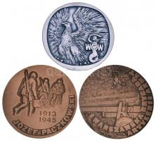 Lengyelország ~1970. "Bem József / 1. Varsói Tüzérdandár" Br emlékérem. Szign.: Jósef Misz...