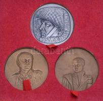 Lengyelország ~1970. "Bem József / 1. Varsói Tüzérdandár" Br emlékérem. Szign.: Jósef Misz...