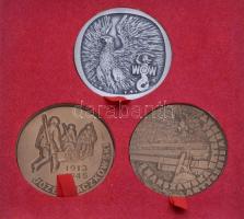 Lengyelország ~1970. "Bem József / 1. Varsói Tüzérdandár" Br emlékérem. Szign.: Jósef Misz...