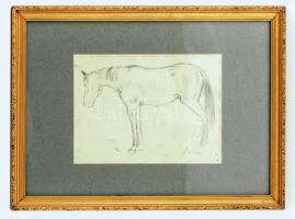 Belányi Viktor (1877-1955): Ló. Ceruza, papír, jelzett, üvegezett keretben, 14×19 cm