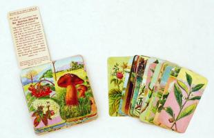 104 db színes litho kártya a Stühmer-sorozatból, különféle növények leírásával, vegyesen német (72 db) és magyar (32 db) nyelven