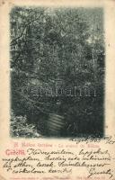 Gödöllő, Rákos forrása (EK)