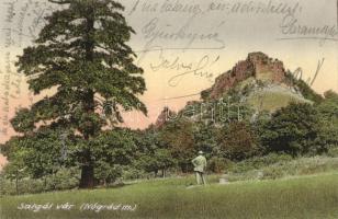 Salgótarján, Salgói várrom