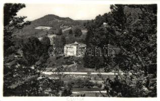 Csucsa, volt Ady kastély / castle