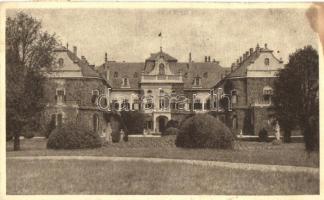 Nagymágocs, Gróf Károlyi kastély (EK)