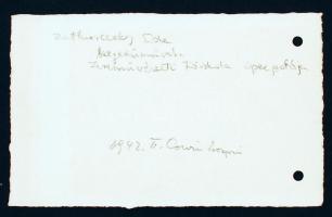 Zathureczky Ede (1903-1959) Kossuth-díjas, kiváló magyar hegedűművész, a Zeneakadémia igazgatójának ...