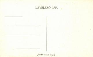 Szeged, Lucza József ruhatisztító és kelmefestő ipartelepe, Laudon utca 9