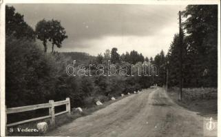 Előpatak, út / street