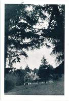 Kassai havasok / mountains - 4 db régi képeslap a kiadó levelével / 4 old postcards with the publisher's letter