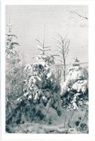 Kassai havasok / mountains - 4 db régi képeslap a kiadó levelével / 4 old postcards with the publish...