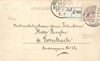 Temesvár, Losonczy tér, Szerb püspöki palota / square, Serbian episcopal Palace, Corvina litho (EK)