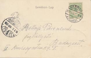 Nagykároly, Nagy piac, Új sor; Csókás László kiadása / market place