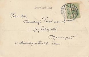 Nagykároly, Deák Ferenc tér, üzletek; Csókás László kiadása / Deák street, shops