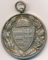 1929. "Magyar Háborús Emlékérem" ezüstözött bronz kitüntetés, peremen "BRONZ" je...