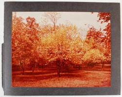 Méry Dezső: Wartburg. Régi fotó kartonra ragasztva. 18x24cm