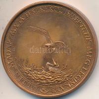 Józsa Gábor (1955-) 1985. "XX. Országos Ifjúsági Képzőművész Tábor Mártély / Minden madár maga fészkéről ismertetik meg leginkább" fém emlékérem (42,5mm) T:2