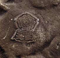 Gazdagon díszített flamand ón tányér, jelzett, d: 21,5 cm