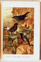 Brehm, Alfred Az állatok világa 1-10. kötet
~ ~ Tierleben című nagy művének magyarra átültetett kia...