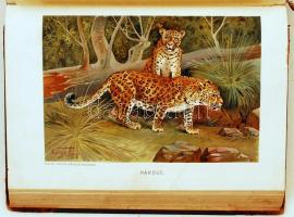 Brehm, Alfred Az állatok világa 1-10. kötet
~ ~ Tierleben című nagy művének magyarra átültetett kia...