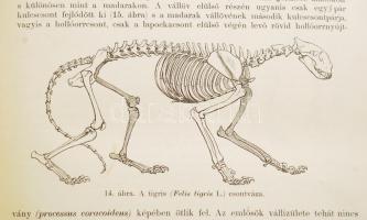 Brehm, Alfred Az állatok világa 1-10. kötet
~ ~ Tierleben című nagy művének magyarra átültetett kia...