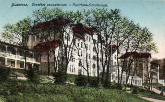 Budakeszi, Erzsébet szanatórium
