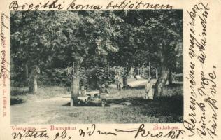 Budakeszi, Virágvölgy, kiadja Stern Jakab (Rb)