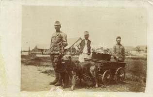 'Kriegs zugs hunde' War dogs-train, soldiers, photo (EK)