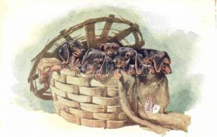 Dogs, B.K.W.I. 638-3. (fl)