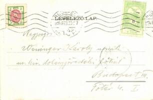 1905 Upomínka na I. Sokolsky den v Budapesti / First Sokol meeting in Budapest; Art Nouveau